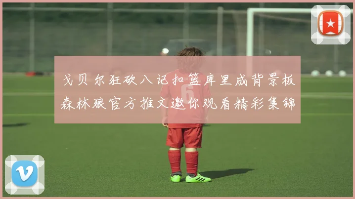 戈贝尔狂砍八记扣篮库里成背景板森林狼官方推文邀你观看精彩集锦