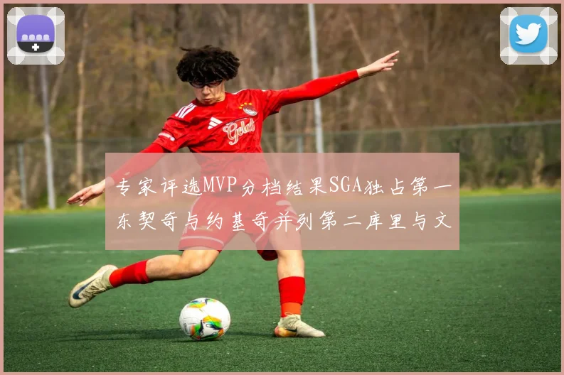 专家评选MVP分档结果SGA独占第一东契奇与约基奇并列第二库里与文班位列第四