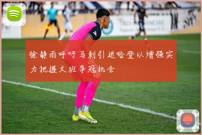 徐静雨呼吁马刺引进哈登以增强实力把握文班争冠机会