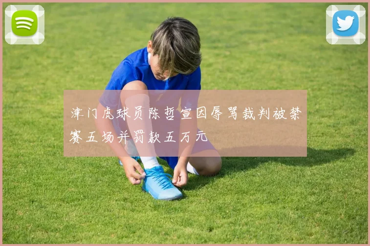 津门虎球员陈哲宣因辱骂裁判被禁赛五场并罚款五万元